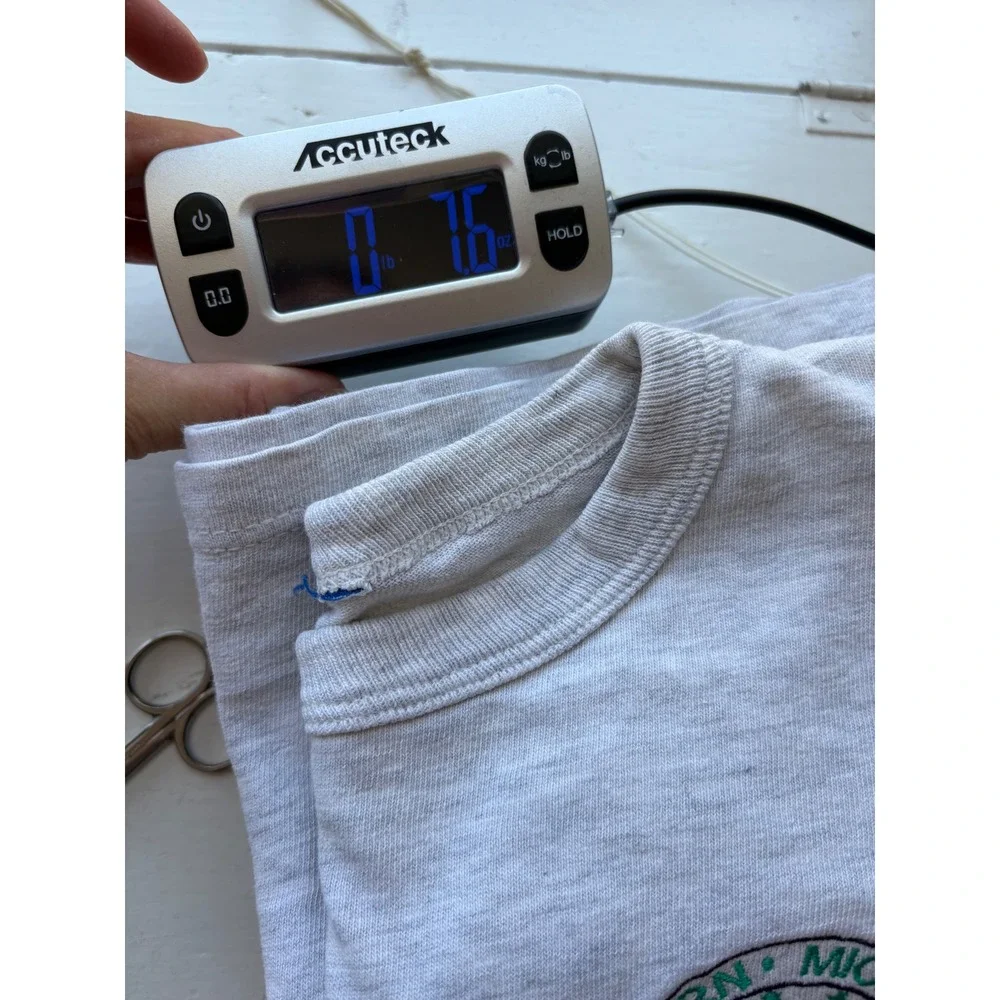 Champion Men L Gray Embroidered T Shirt Vintage 90s W Michigan University Crest - Picture 7 of 7